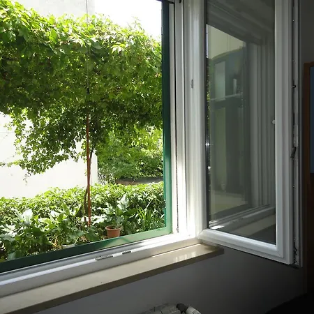 Green Oasis *